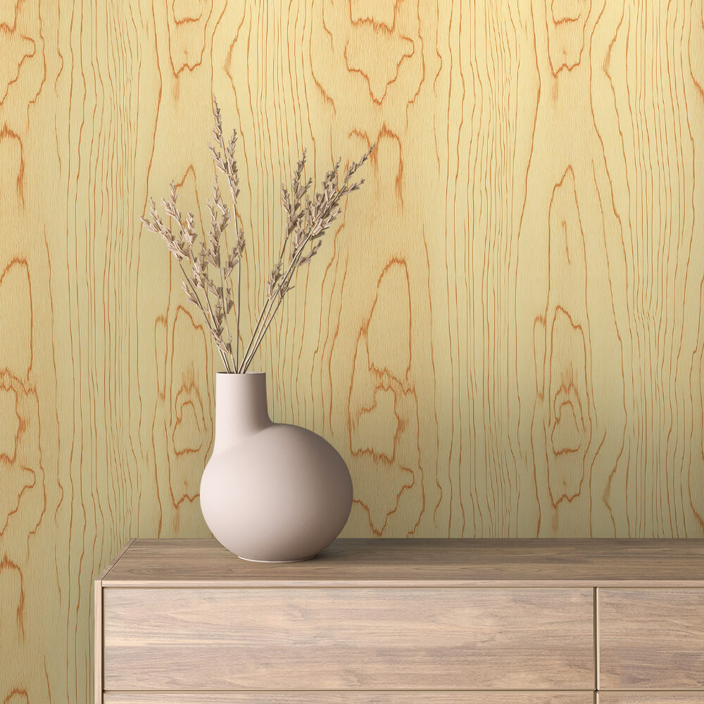 Papier Peint Effet Bois Vieilli Style Rustique Moderne