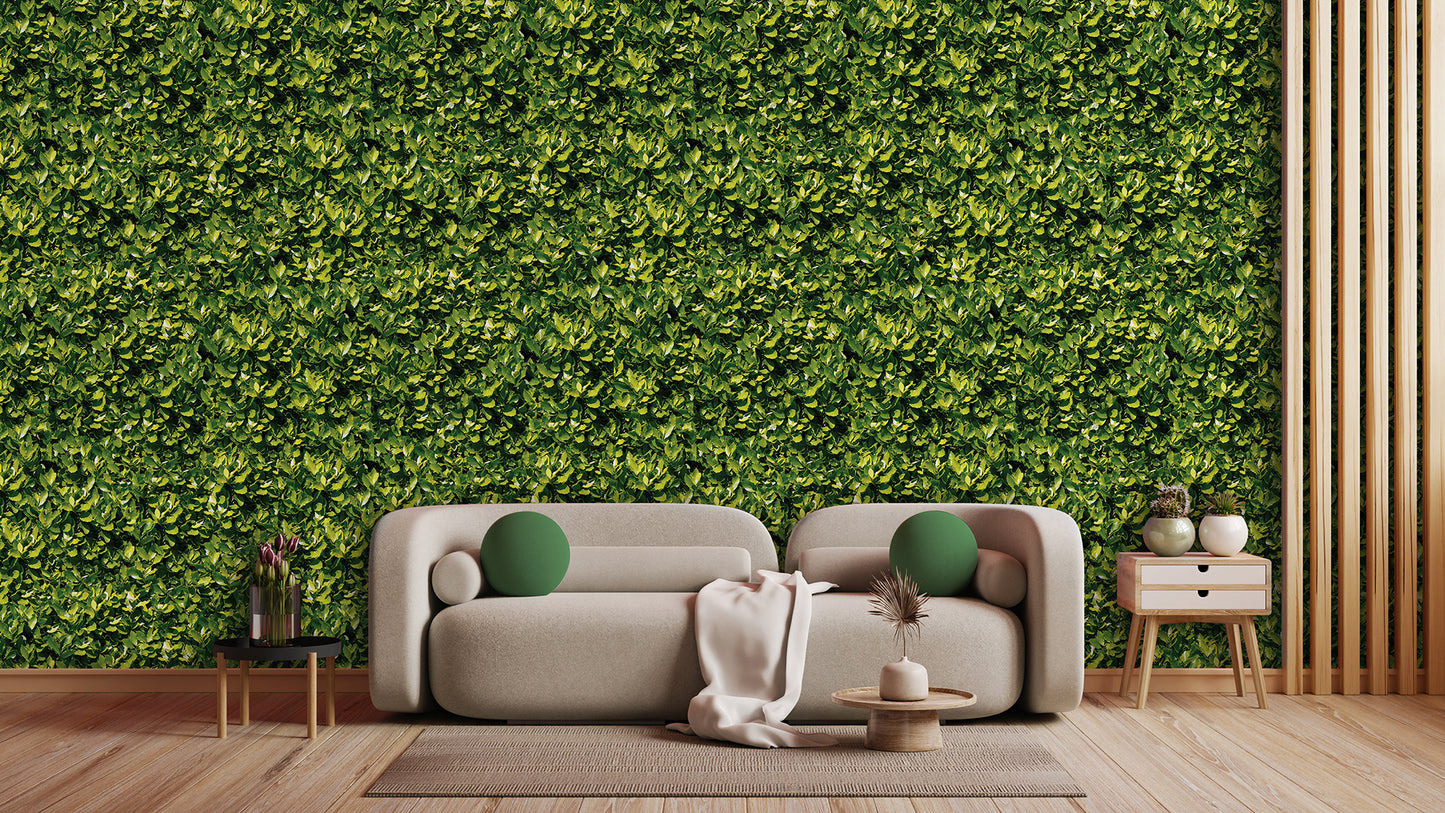 Papier Peint Jungle Tropicale Effet Nature