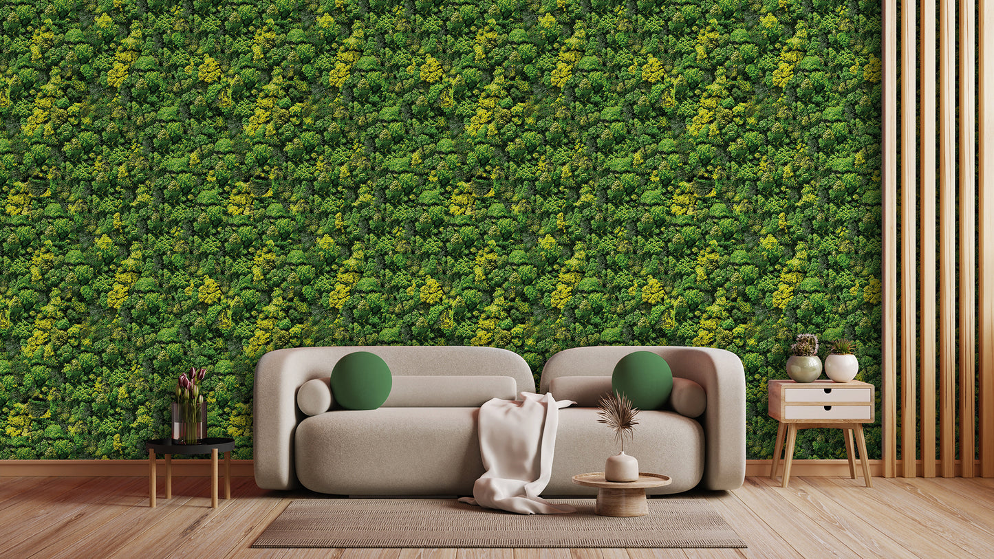 Papier Peint Jungle Tropicale Effet Nature